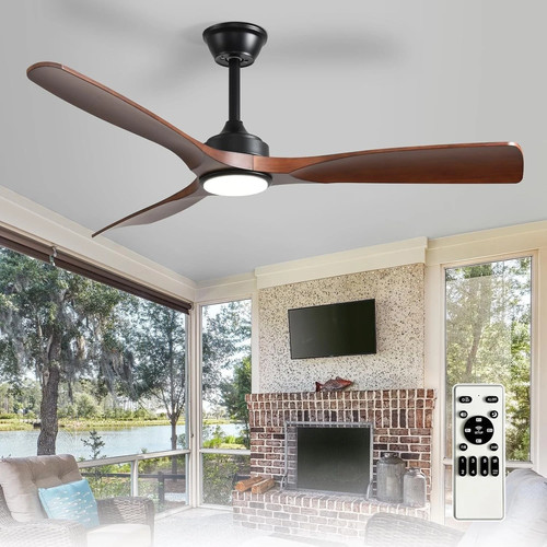 Ceiling fan with light - fan,