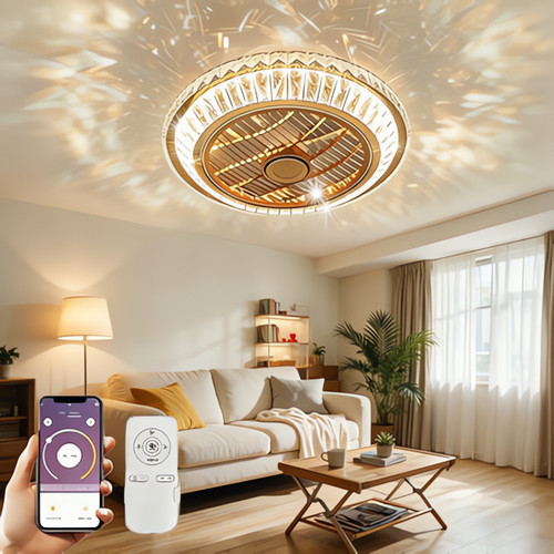 Ceiling fan with - fan,