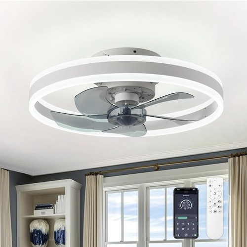 Chanfok ceiling fan - fan, light