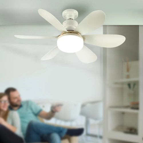Plug play ceiling led - plug, fan