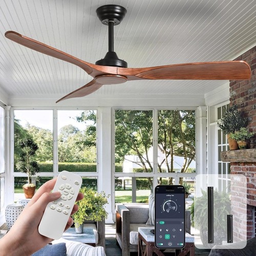 Ceiling fan with - ceiling,