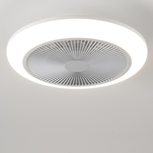 Ceiling fan light - ceiling, remote