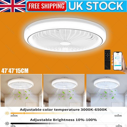 Ceiling fan with lighting - fan,