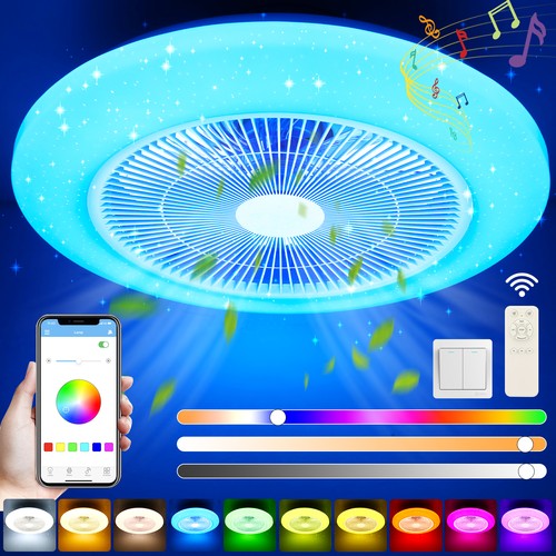 Silent ceiling fan - ceiling, with