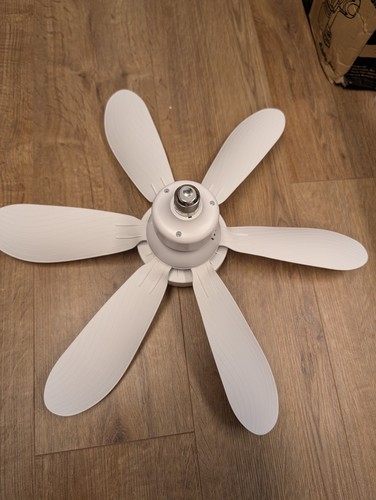 Ceiling fan with light and - fan,