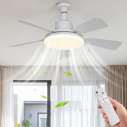 Ceiling fan with - ceiling, light
