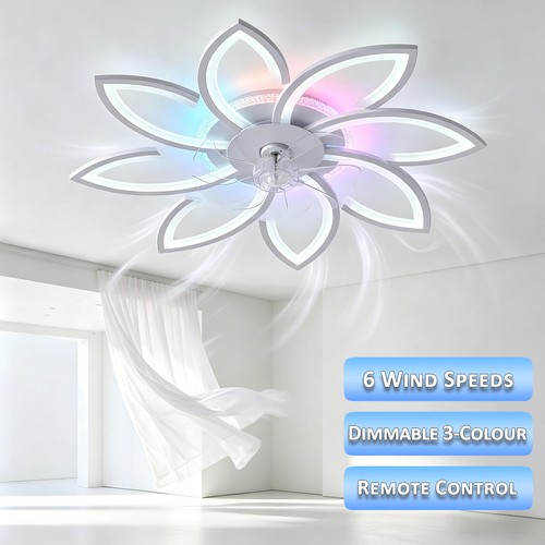 Ceiling fan with lights - , 6