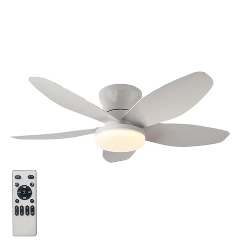 Ceiling fan with - ceiling,