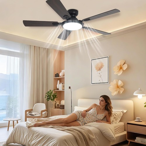 Modern ceiling fan - in, with