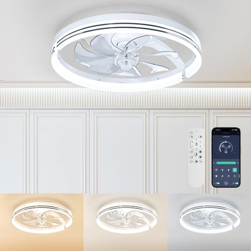 Large speed led - 6,