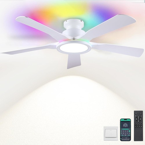 Ceiling fan with - with, lights