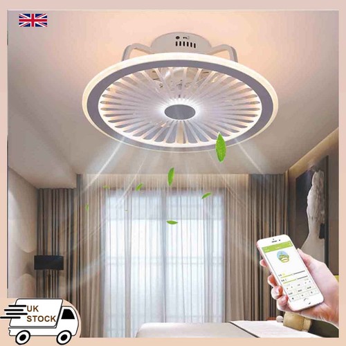 Ceiling fan light - light, and