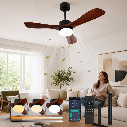 Large ceiling fan with - fan, light